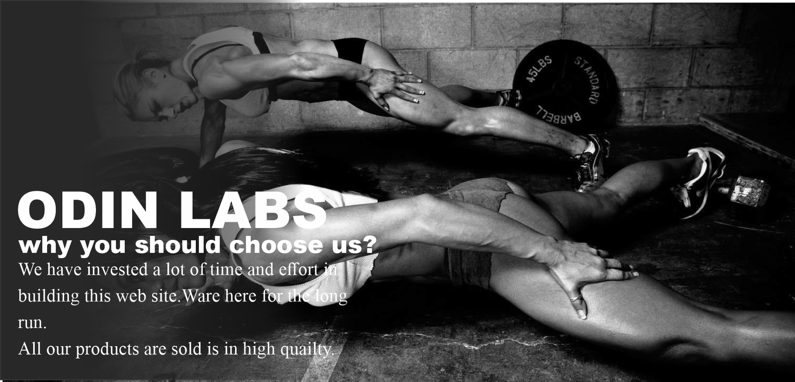 ODIN LABS